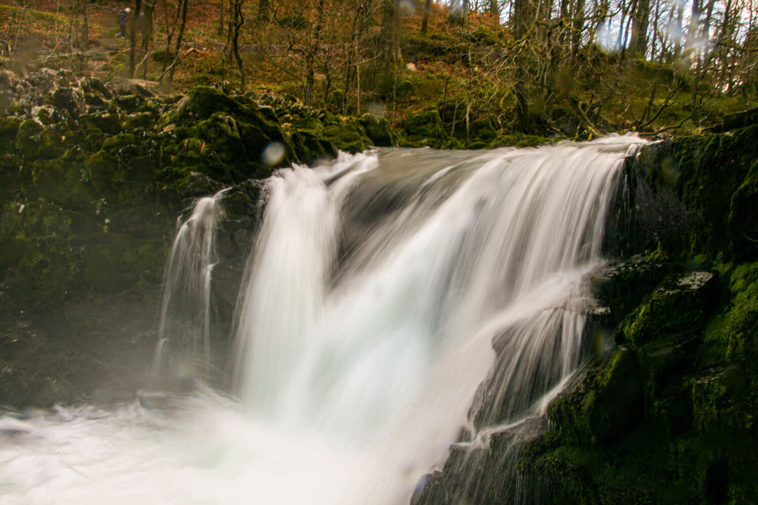 <p>After a wonderfully warm Summer, Autumn has arrived in the Lake District and with it a change in the landscape.