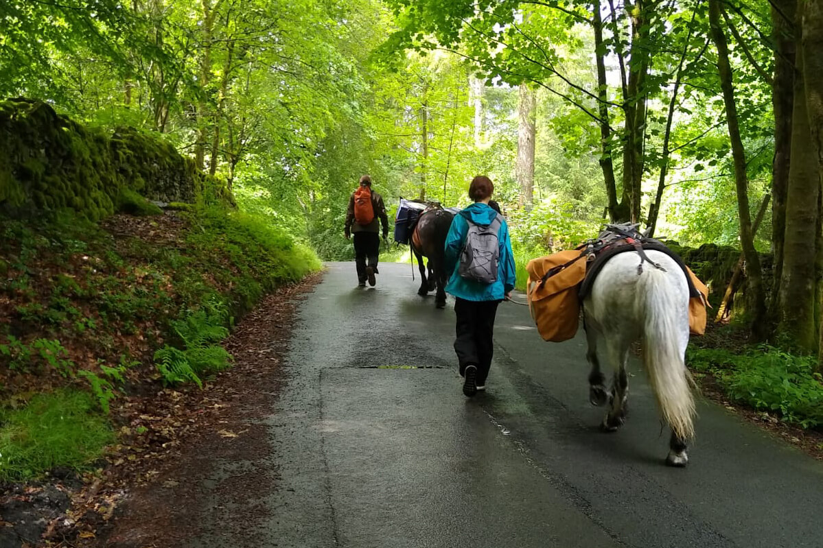 Earlier this year, we were lucky enough to enjoy a fell pony adventure on the Matson Ground Estate, courtesy of Tom Lloyd, owner of Fell Pony Adventures.