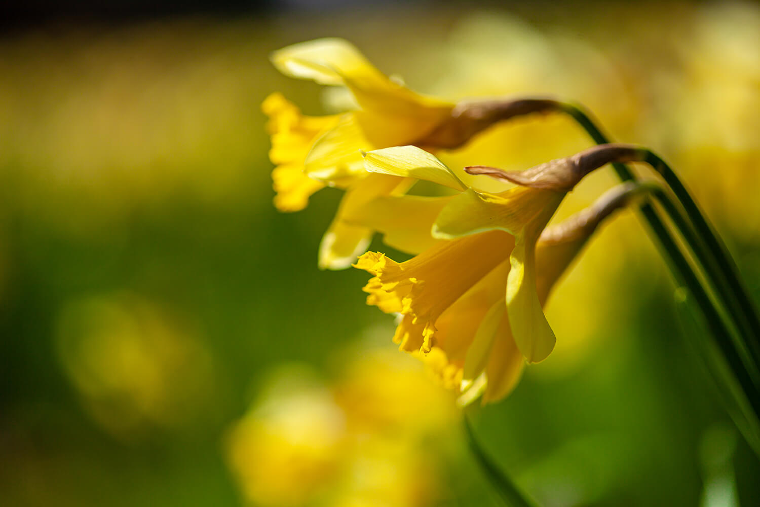 <p>Easter in the Lake District is such a special time'' crisp, blue skies, snow-capped peaks, spring flowers and bird song '' we can't think of anywhere we'd rather be.
