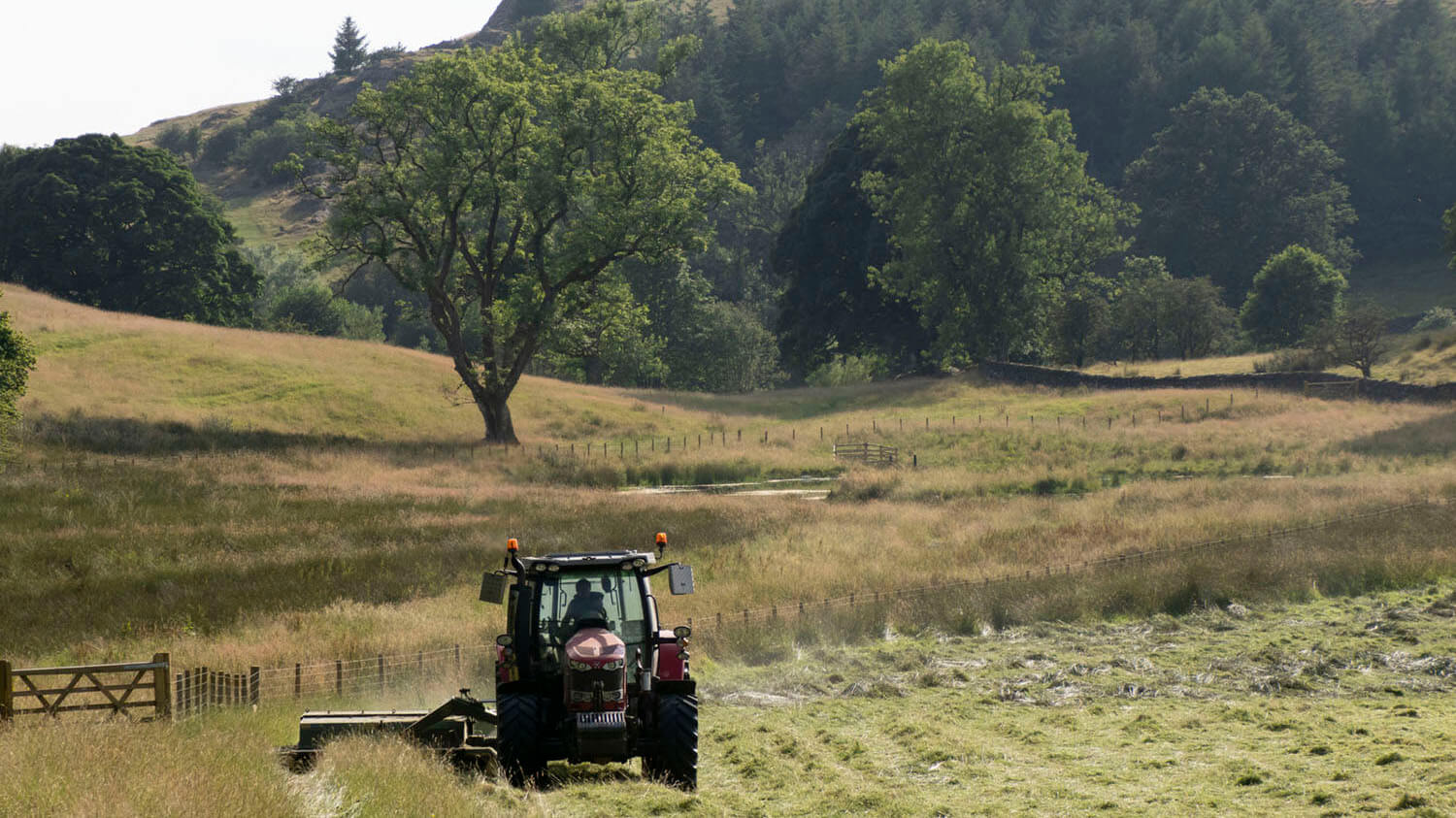<p>Summer has definitely arrived in the Lake District and the Matson Ground Estate is in full swing.