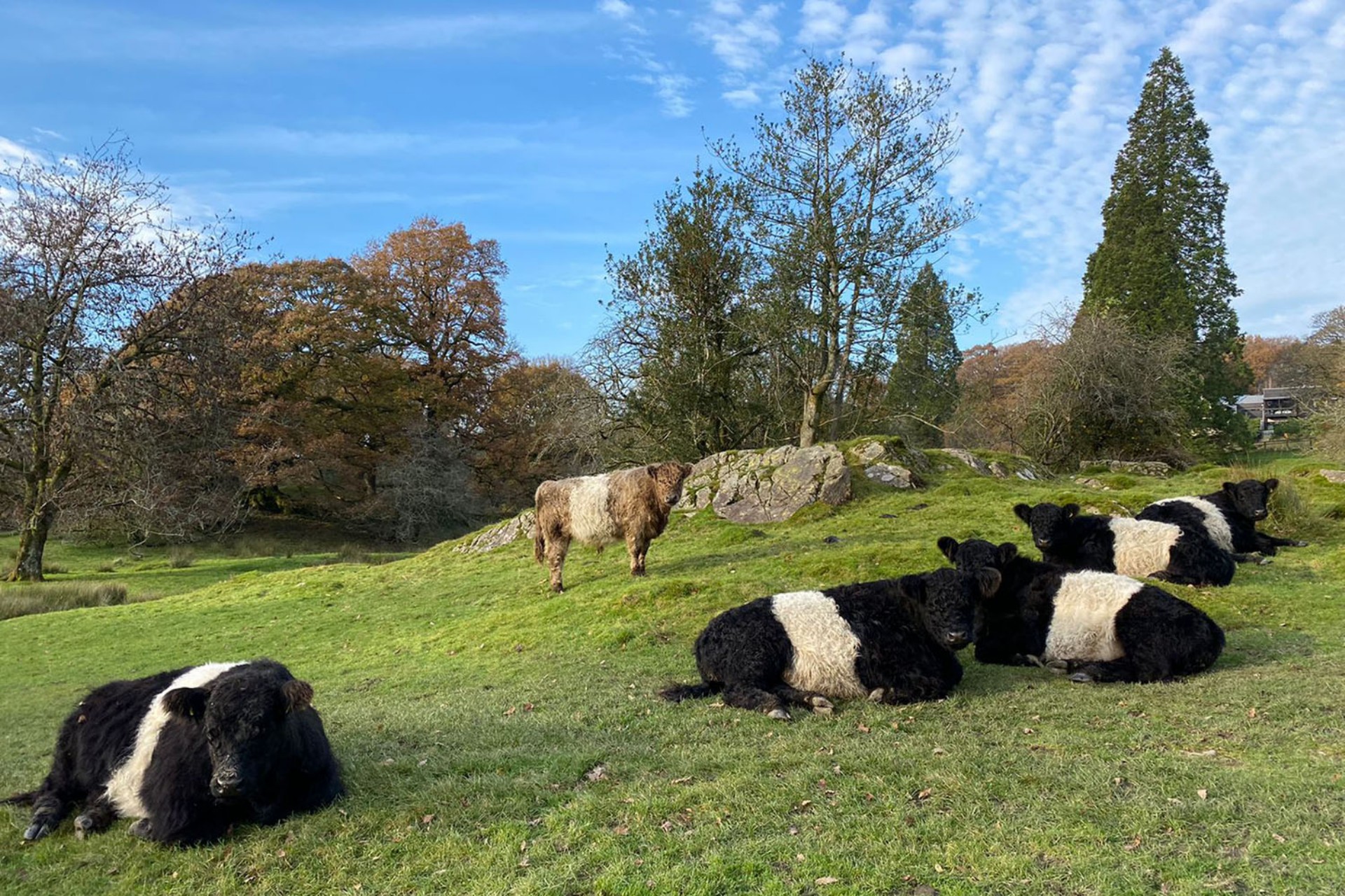 <p>Welcome to our new feature - updates from the organic farm and estate by Pete, the Matson Ground Farm Manager.