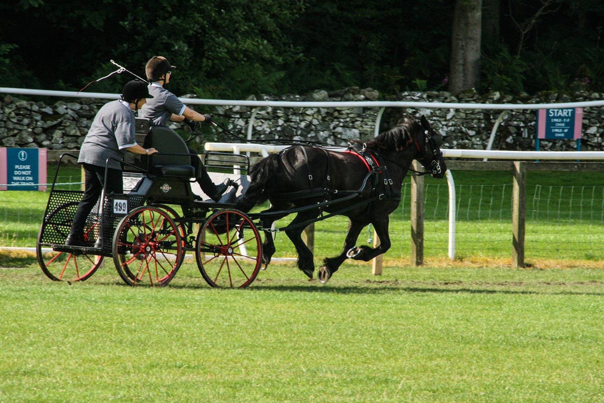<p>Agricultural shows in the Lake District have been a familiar fixture on the summer calendar for as long as we can remember.