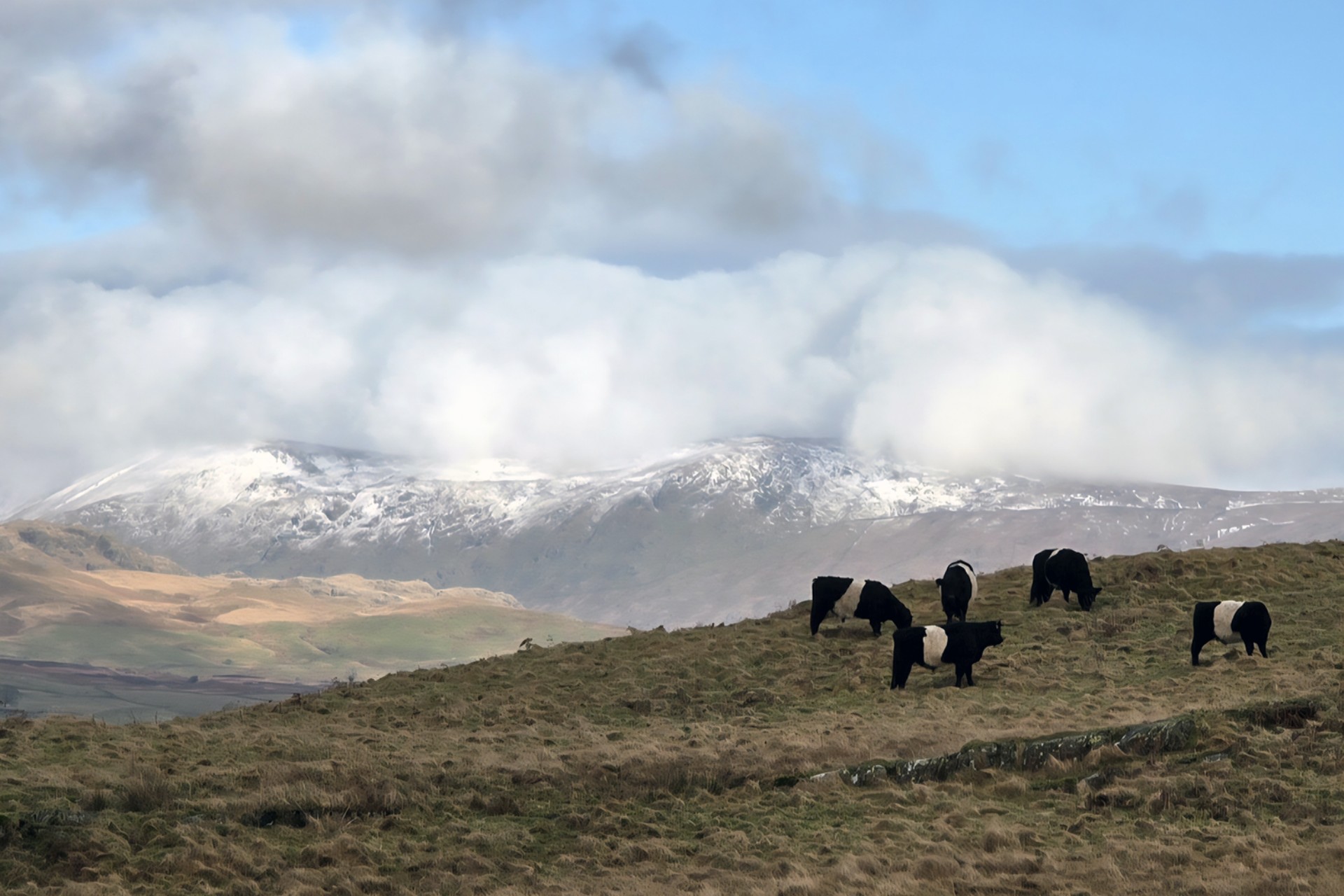 <p>I think January felt like an extra-long, dull month for a lot of us but we're faring ok on the farm weather wise this winter.