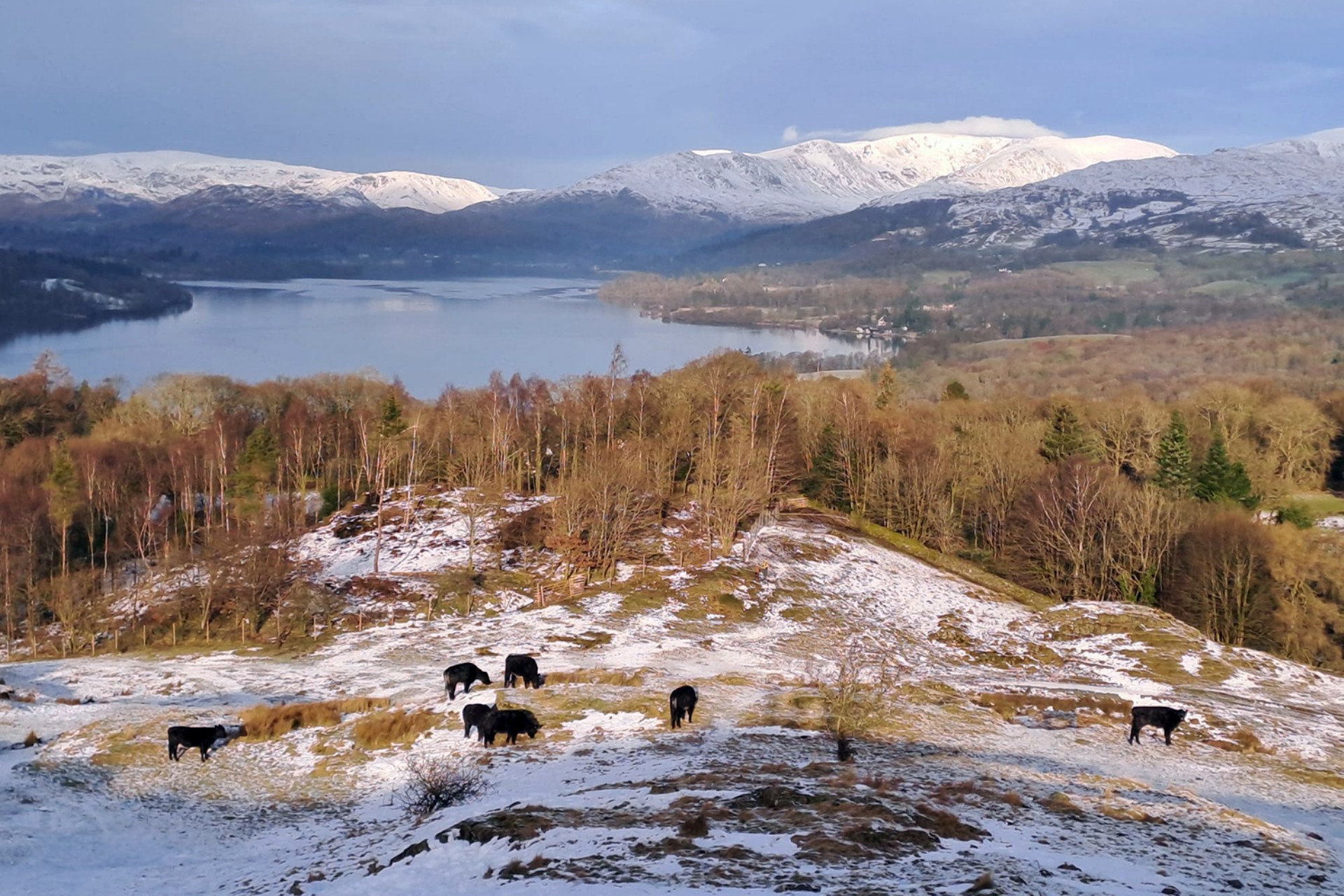 <p>It's been looking very Alpine here for the last week, with a few inches of snow sticking around for over seven days.