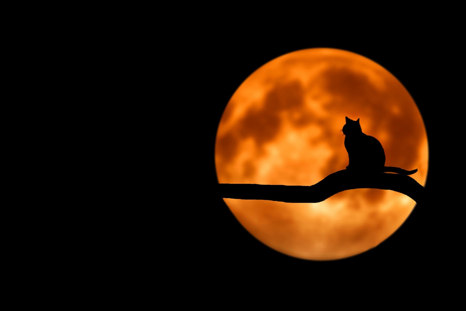 <p>You can't help but enjoy a Lake District Halloween.